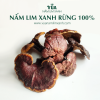 nam-lim-xanh-rung-100 (2)